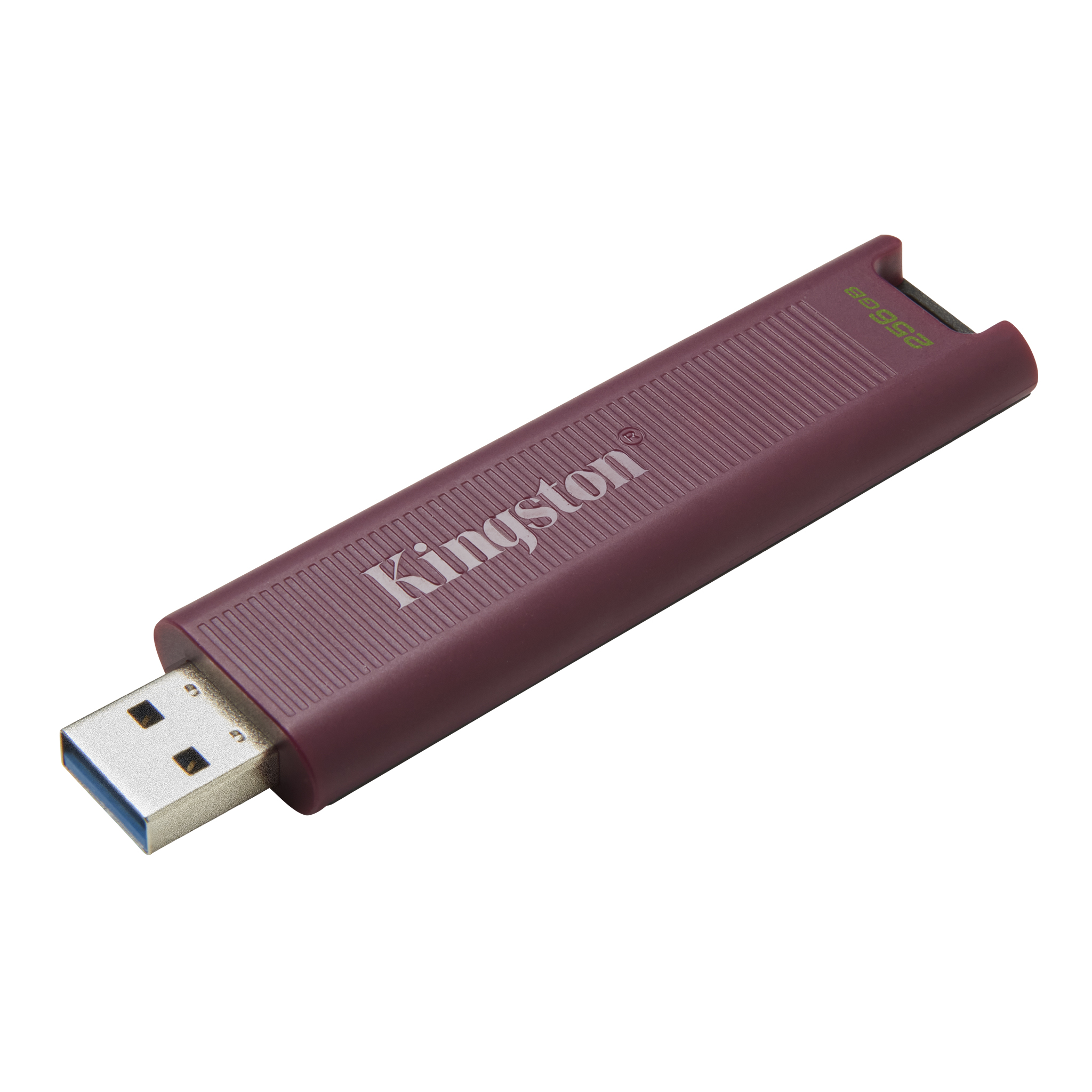 Kingston - DTMAXA-256GB - התמונה להמחשה בלבד