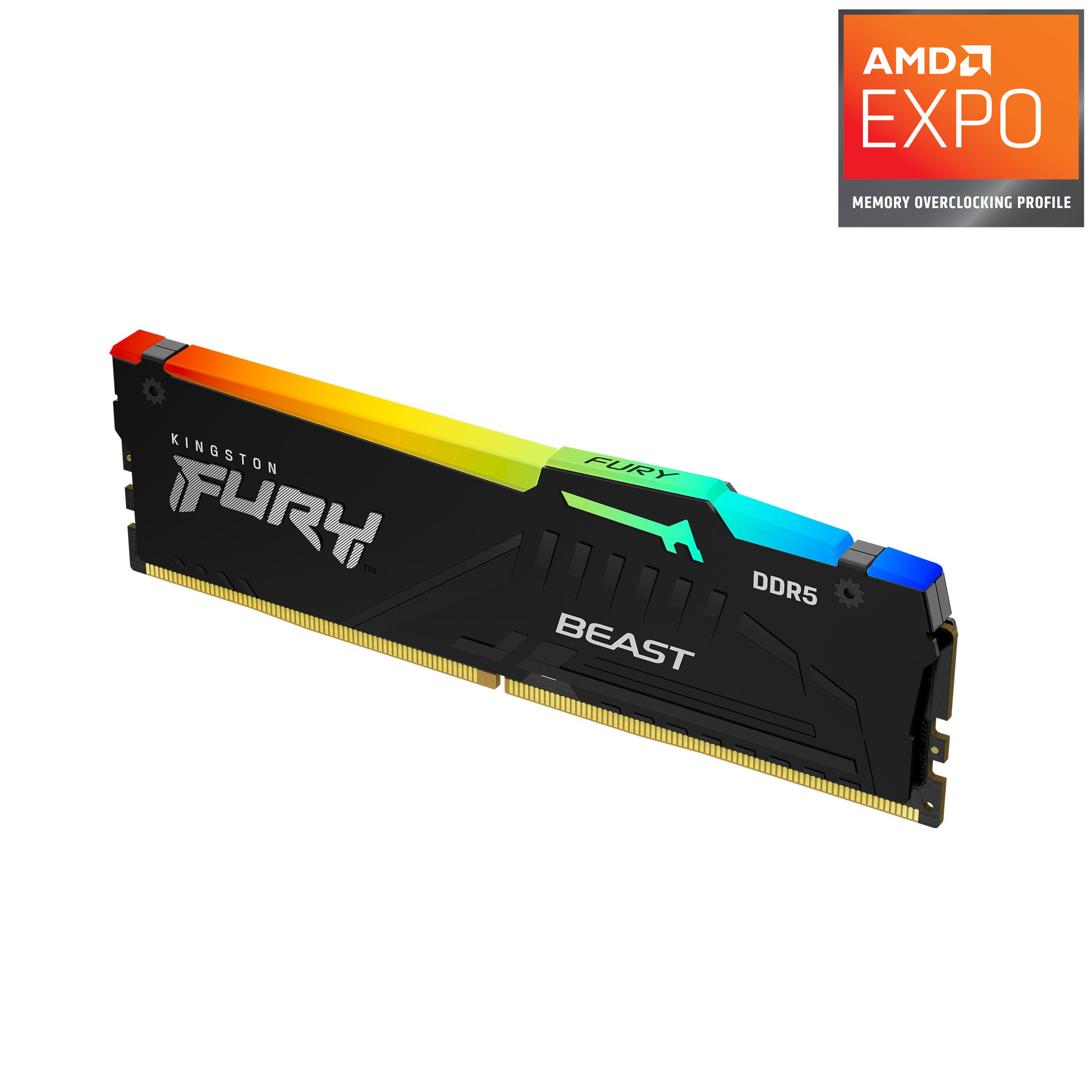 Kingston - KF556C36BBE2A-32 -   
